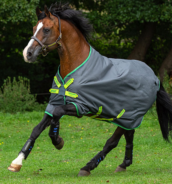 COPERTA PADDOCK AMIGO HERO MEDIO PESO Paddock Medium 